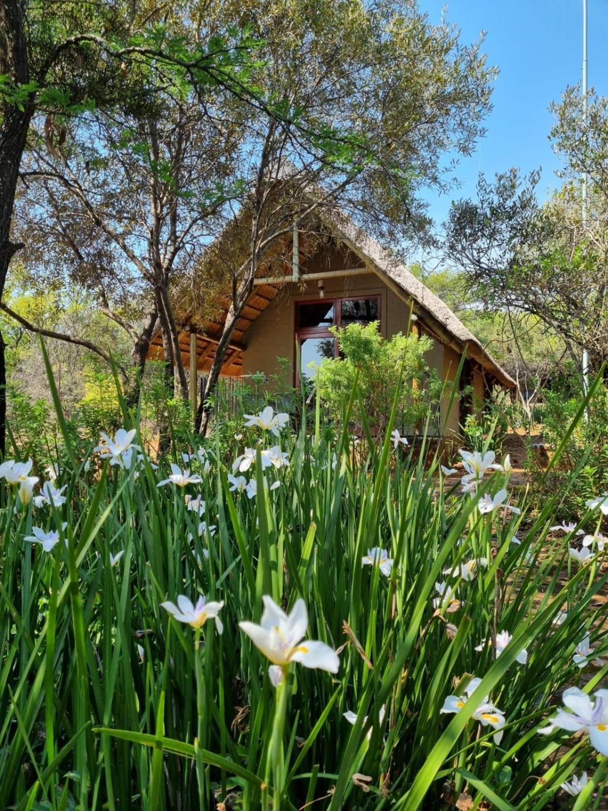 Tidimalo Lodge Рустенбург Екстер'єр фото